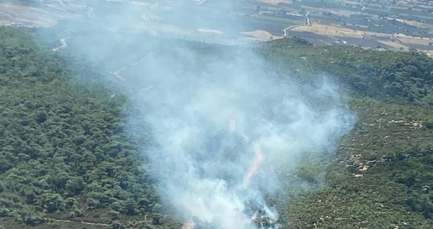 İzmir'in Foça ilçesinde orman yangını çıktı. Ekipler, havadan ve karadan