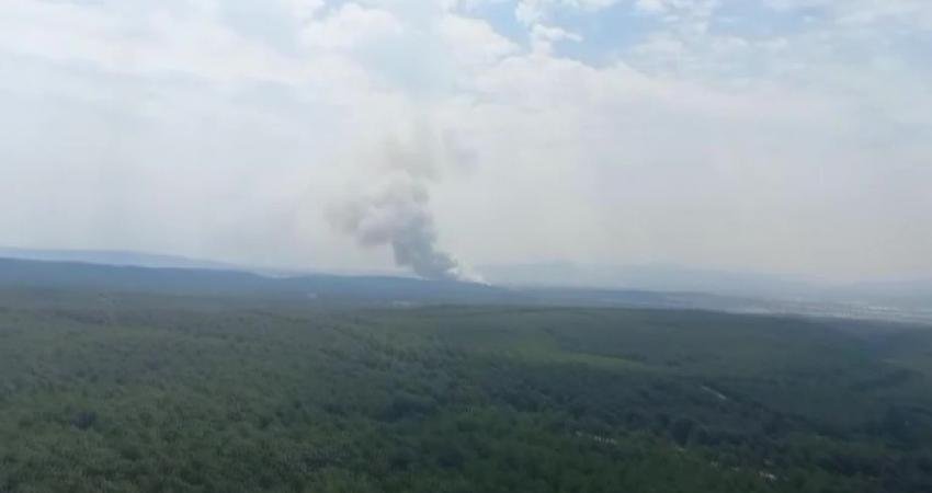 İzmir’in Gaziemir ilçesinde orman yangını çıktı. Yangına havadan ve karadan