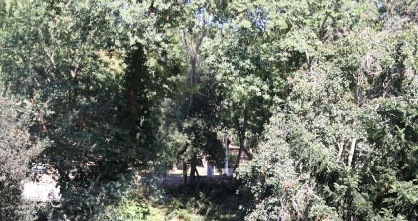 İstanbul'un Beşiktaş ilçesinde bulunan tarihi Yıldız Parkı’nı yapılaşmaya açan statü