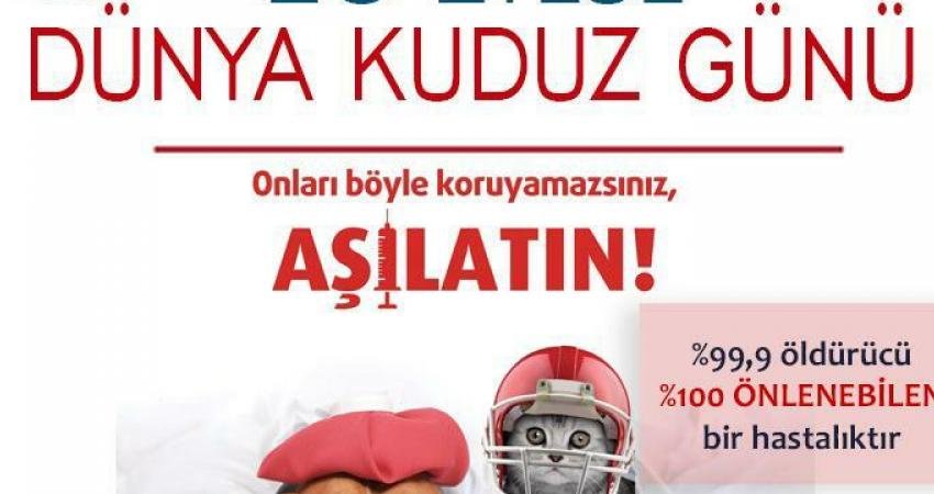 İstanbul Veteriner Hekimler Odası (İVHO), Türkiye'de yılda 250 bin civarında
