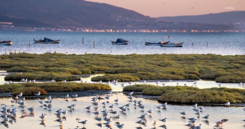 Ufuk Avrupa Programı kapsamında desteklenecek 12 projenin arasında Türkiye’den sadece