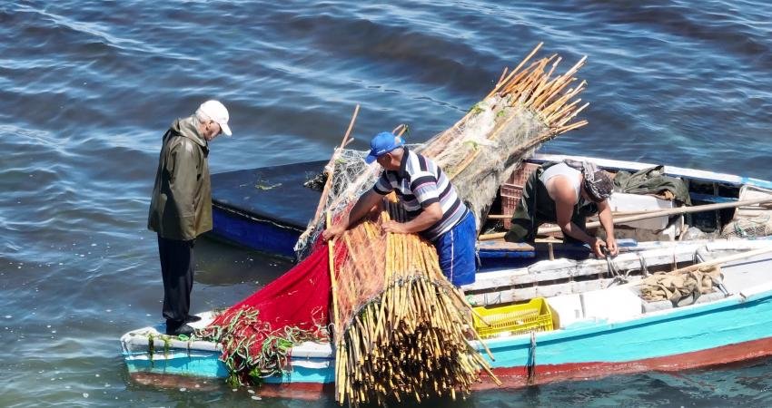 İzmir Büyükşehir Belediyesi İZSU Genel Müdürlüğü’nün Körfez’i eski günlerine döndürmeyi