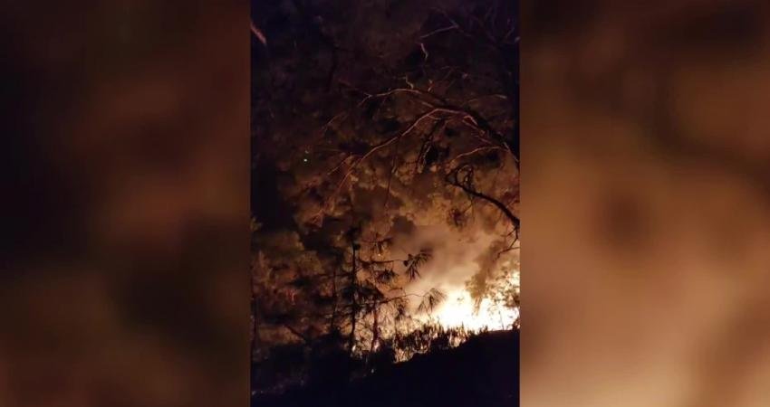 İzmir’in Menderes ilçesinde dün öğle saatlerinde çıkan orman yangınını söndürme