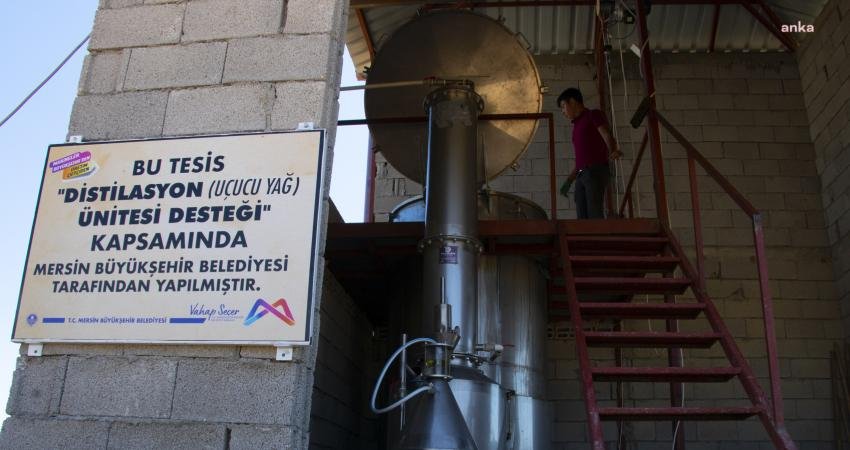 Mersin Büyükşehir Belediyesi, Gülnar Köseçobanlı Tarımsal Kalkınma Kooperatifi’ne bağlı olarak