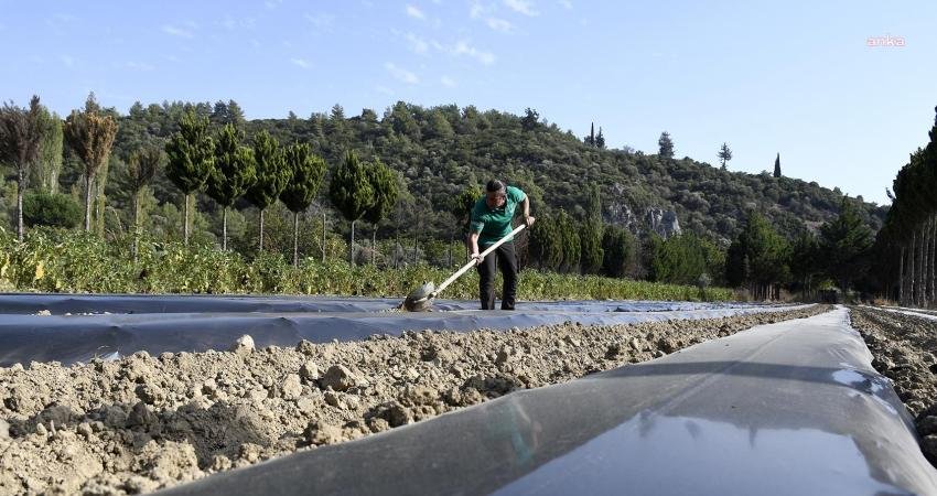 Kuşadası Belediyesi tarafından tarımsal üretimi geliştirmek ve tüketicilerin sağlıklı gıdaya aracısız