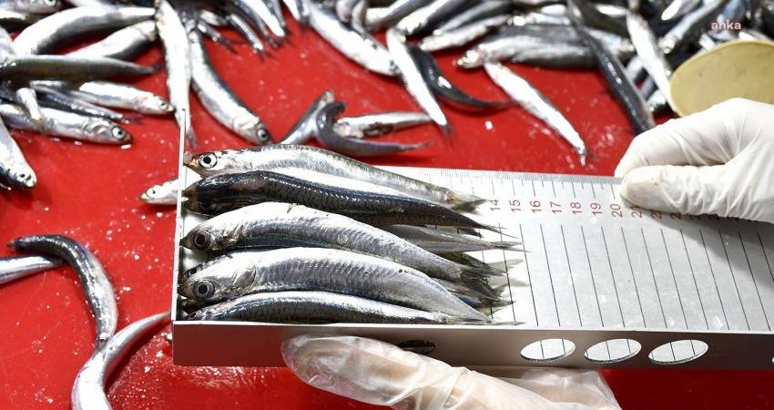 Kuşadası Belediyesi ile İlçe Tarım ve Orman Müdürlüğü tarafından kent