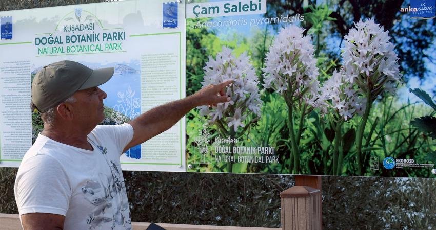 Kuşadası Belediyesi, endemik bitki ve nesli tükenmekte olan canlı türlerine