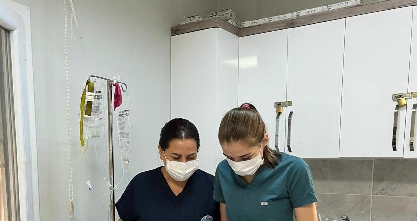 Menderes’te Can Dostlar Unutulmuyor Menderes Belediyesi sokak hayvanlarına yönelik çalışmaları kapsamında 2019 yılından bugüne