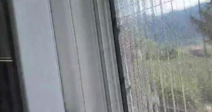 CHP Rize Milletvekili Mustafa Adıgüzel, Karadeniz sahil şeridi boyunca kahverengi