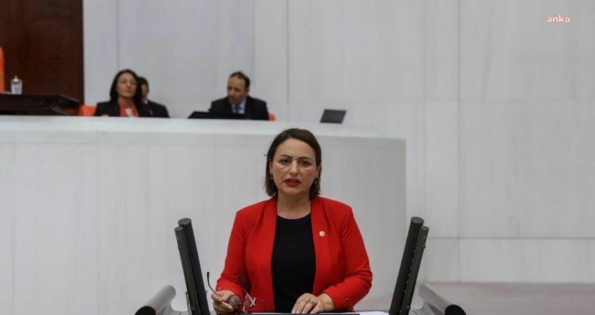 CHP Adana Milletvekili Müzeyyen Şevkin, Toplum Yararına Program (TYP) çalışanlarının