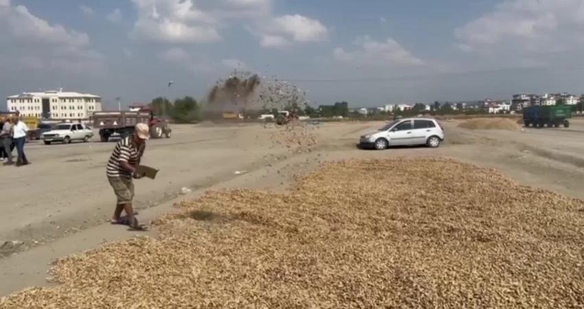 Osmaniye'nin Kadirli ilçesinde fıstık ve mısır üreticileri artan maliyetlerden şikayetçi. Kadirlili