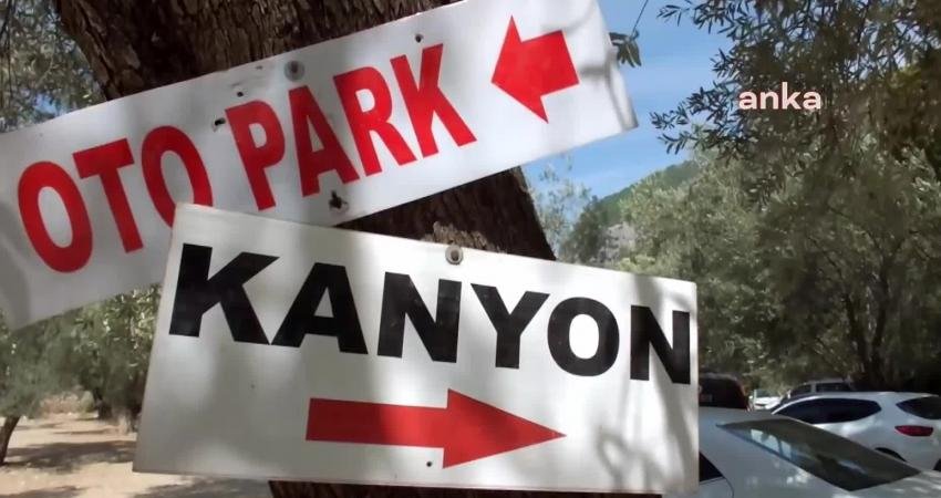 Balıkesir’in Edremit ilçesi Şahinderesi Kanyonu’nda bulunan 750 yıllık çınar ağacı