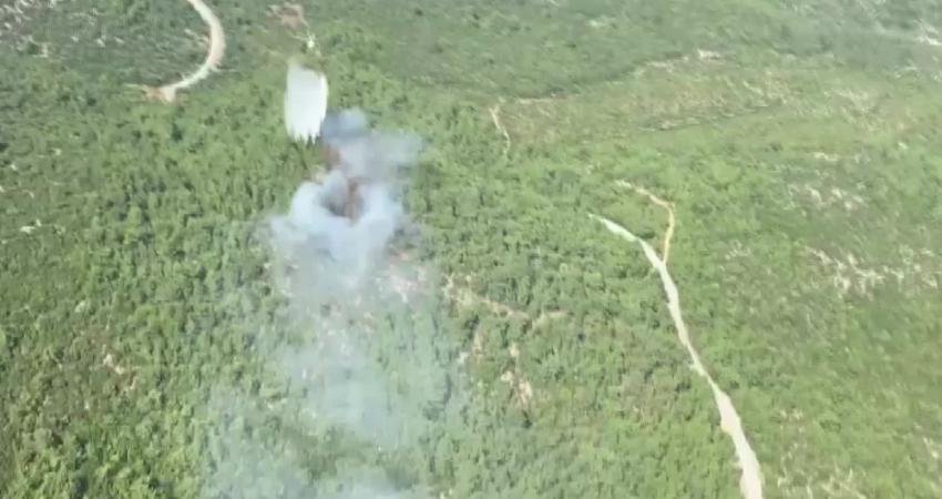 İzmir’in Selçuk ilçesinde orman yangını çıktı. Ekipler, havadan ve karadan