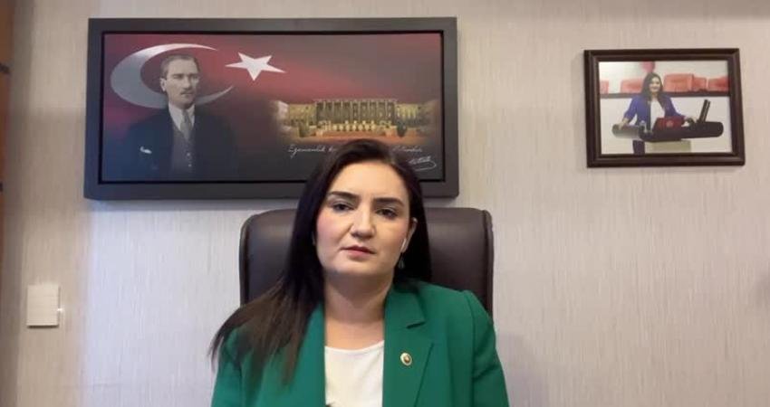 CHP İzmir Milletvekili ve TBMM Anayasa Komisyonu Üyesi Sevda Erdan