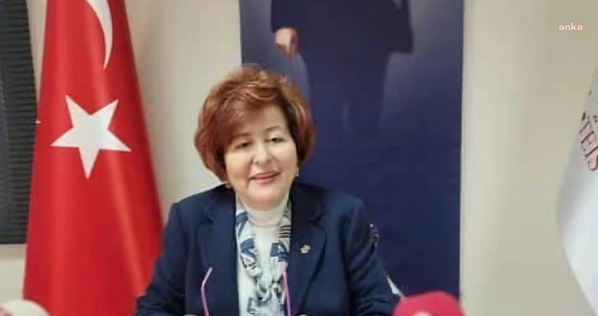 Tüm Eczacı İşverenler Sendikası (TEİS) Genel Başkanı Eczacı Nurten Saydan,