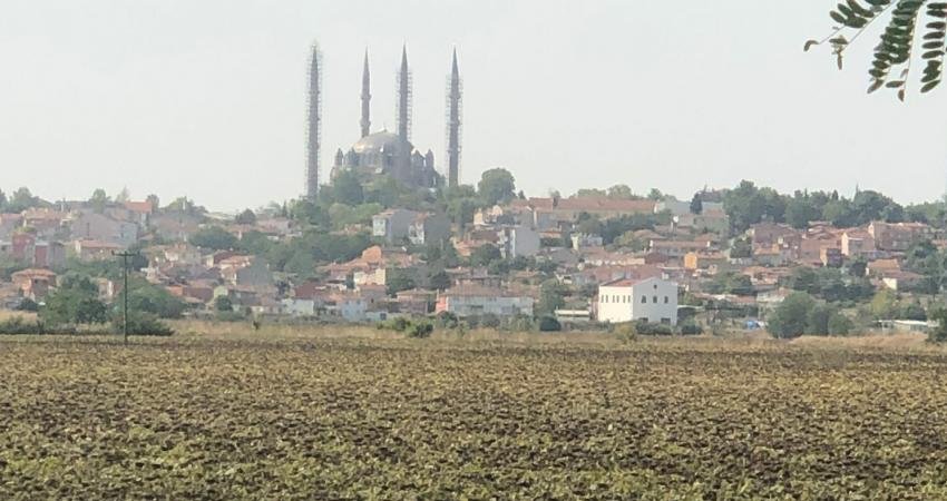 Trakya Birlik Yönetim Kurulu, ayçiçeği avans ödemesi fiyatını yüzde 44