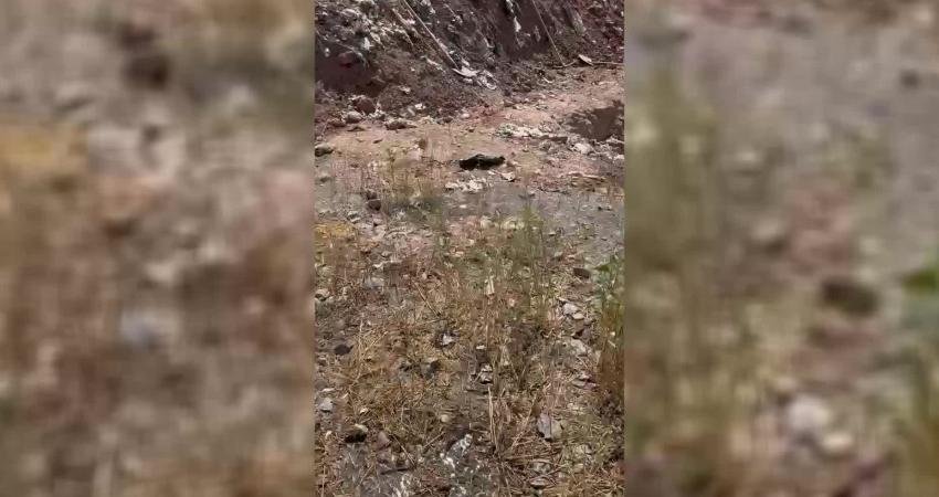 CHP Sivas Milletvekili Ulaş Karasu, Sivas-Erzincan karayolu üzerinde bulunan Sokak