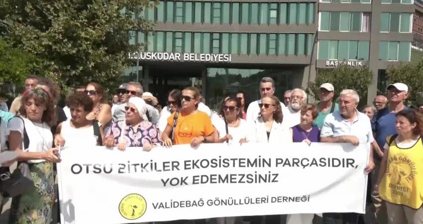 AKP'li Üsküdar Belediyesi, 1. derece sit alanı Validebağ Korusu'nda Koruma