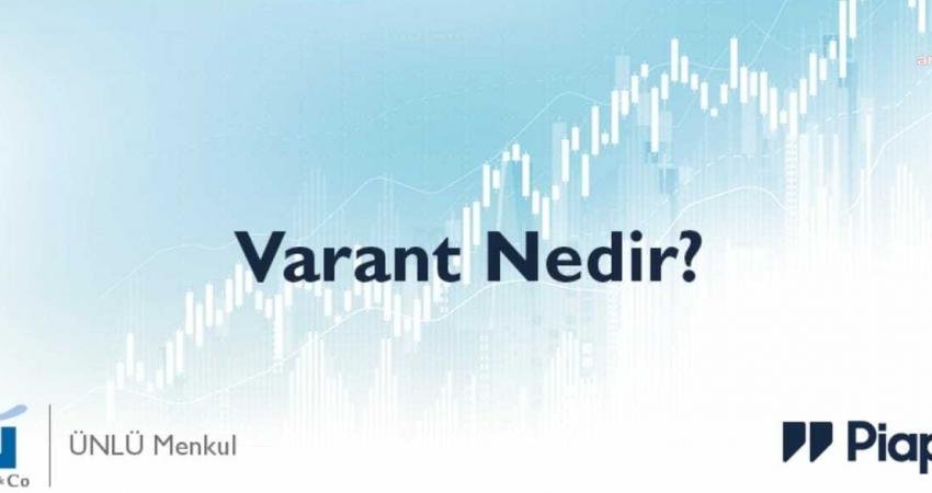 Finansal piyasalarda yatırımcıların tercih edebileceği çok sayıda yatırım enstrümanı bulunmaktadır,