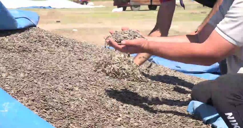 Aksaray Yeşiltepe Belediye Meclisi’nin AKP’li üyesi üretici Tahsin Turgut, Çin’den