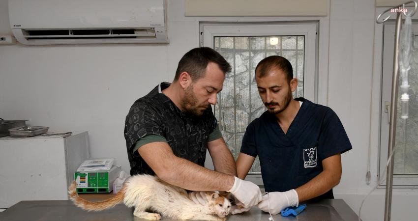 Kuşadası Belediyesi, Aydın’ın Söke ilçesindeki bir apartman dairesinde polis ve