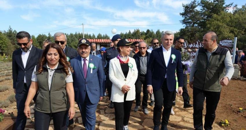 Safranbolu Kaymakamlığı, Safranbolu Belediyesi, Safranbolu Esnaf ve Sanatkarlar Odası, Safranbolu