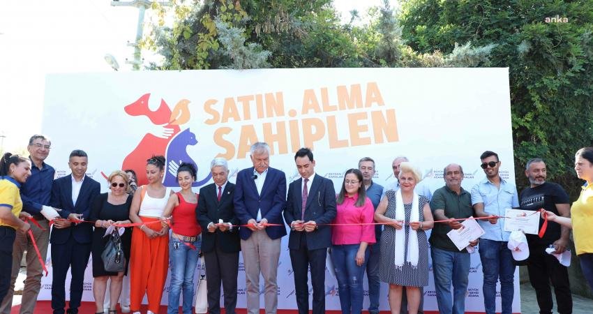 Adana Büyükşehir Belediyesi, sokak hayvanlarını kısırlaştırmak üzere Karslılar Mahallesi’nde yeni