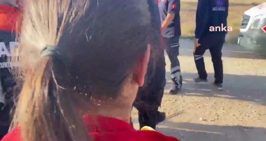 Aksaray’da servis minibüsü ile büyükbaş hayvan yüklü kamyonetin çarpışması sonucu