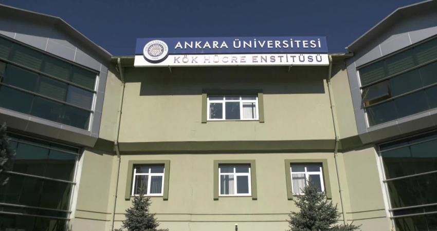 Ankara Üniversitesi Kök Hücre Enstitüsü, TÜBİTAK 1004 Mükemmeliyet Merkezi Destek Programı