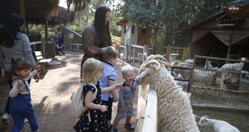 Antalya Büyükşehir Belediyesi Doğal Yaşam Parkı, 4 Ekim Hayvanları Koruma