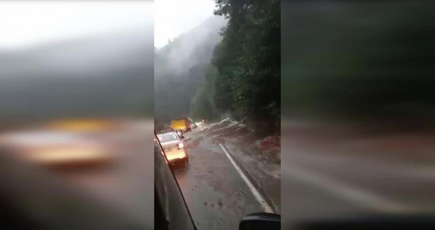 Artvin'de etkili olan sağanak yağış Arhavi, Borçka ve Hopa ilçelerinde