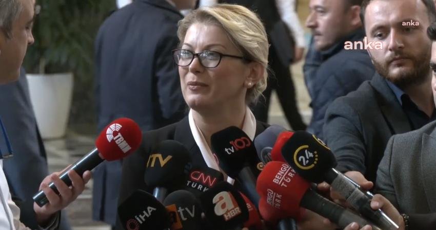 CHP Osmaniye Milletvekili Asu Kaya, “2024 yılı için Cumhurbaşkanlığı bütçesi