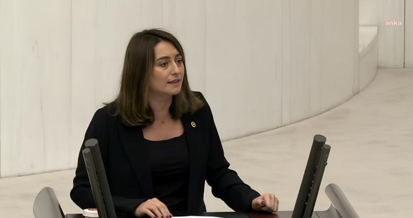 CHP Genel Başkan Yardımcısı ve Bartın Milletvekili Aysu Bankoğlu, Amasra