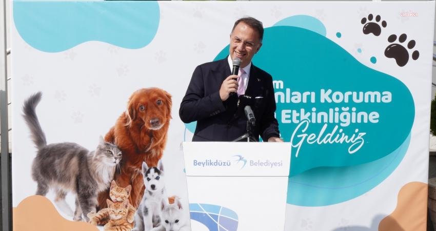 4 Ekim Dünya Hayvanları Koruma Günü kapsamında Beylikdüzü Belediyesi Geçici