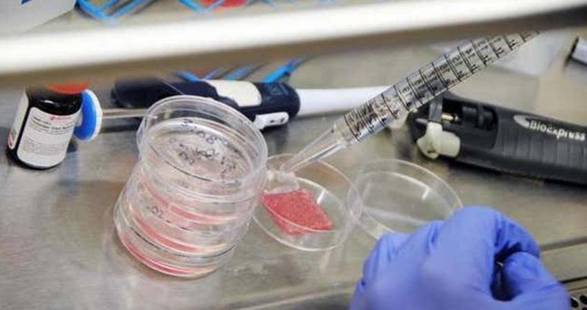 Bilim insanları, gerçek insan derisine neredeyse tıpatıp benzeyen bir deriyi,