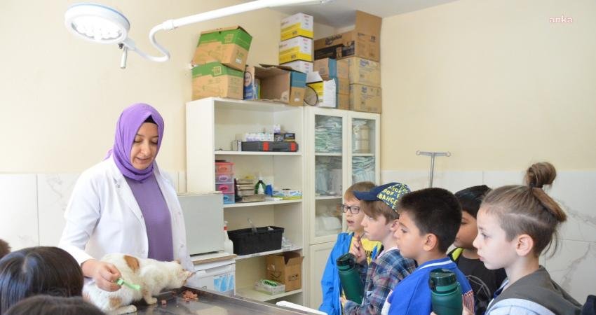 Bozüyük'te öğrenciler, 4 Ekim Dünya Sokak Hayvanlarını Koruma Günü dolayısıyla