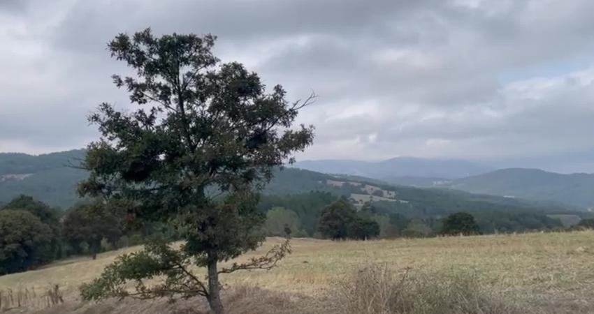 Bursa’nın Orhaneli ilçesi Söğüt ve Akalan köylülerinin, 16,85 hektarlık alana