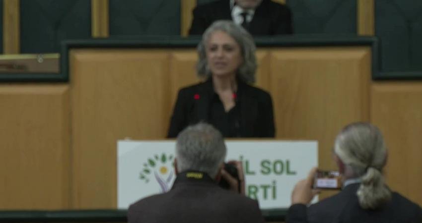 Yeşiller ve Sol Gelecek (Yeşil Sol) Partisi Eş Sözcüsü Çiğdem