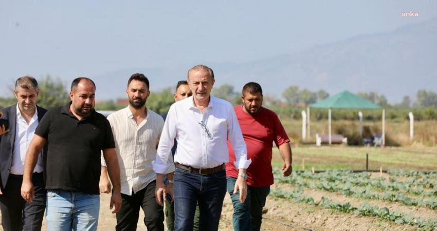 Didim Belediyesi, Balat Mahallesi’nde bulunan tarlasına kışlık sebzelerin ekimine başladı.