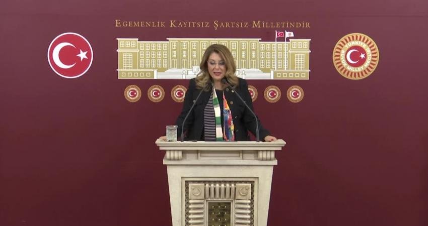 CHP Giresun Milletvekili Elvan Işık Gezmiş, 7 bin 500 lira