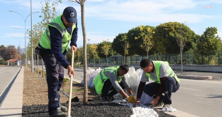 Çevreci projeleriyle dikkat çeken Eskişehir Büyükşehir Belediyesi, küresel ısınma ve
