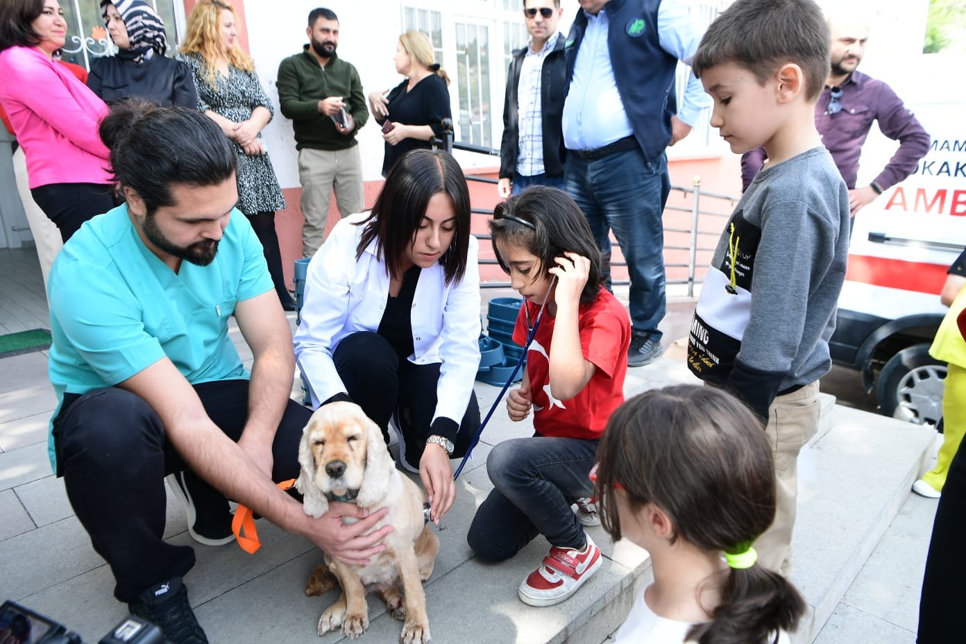 Mamak Belediyesi Veteriner İşleri Müdürlüğü, hayvan sevgisini çocuklara aşılayabilmek için