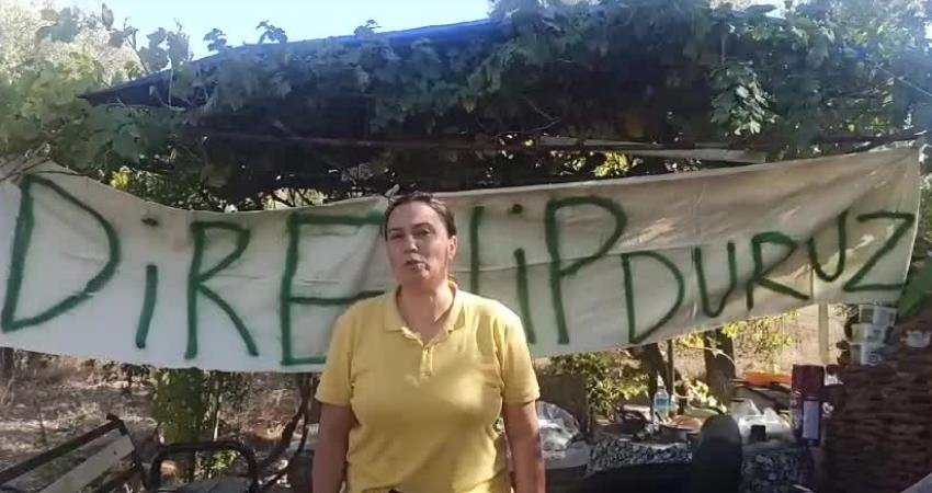 Muğla’nın Milas ilçesinde bulunan Akbelen Ormanı’nın maden işletmeciliğine tahsisi, maden