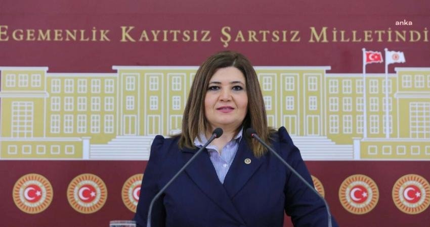 İYİ Parti Tekirdağ Milletvekili Selcan Taşçı Hamşıoğlu, gazeteciler Batuhan Çolak