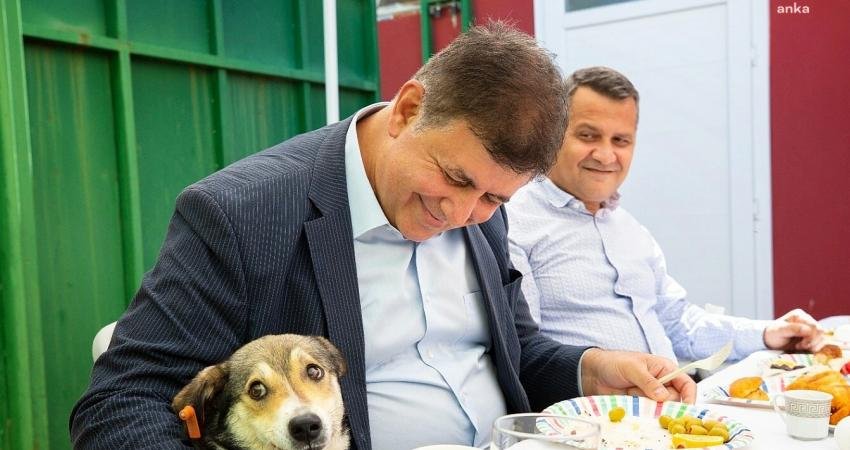 Karşıyaka Belediyesi, sokak hayvanlarının yaşam koşullarını iyileştirmeye yönelik çalışmaları kapsamında