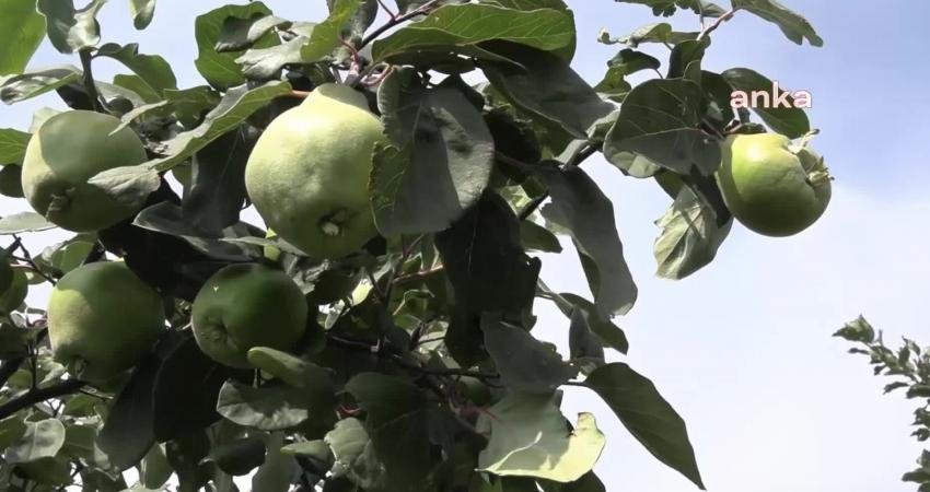 Doğup büyüdüğü topraklardan genç yaşta Bursa’ya göçen Hasan Özkaya, orada