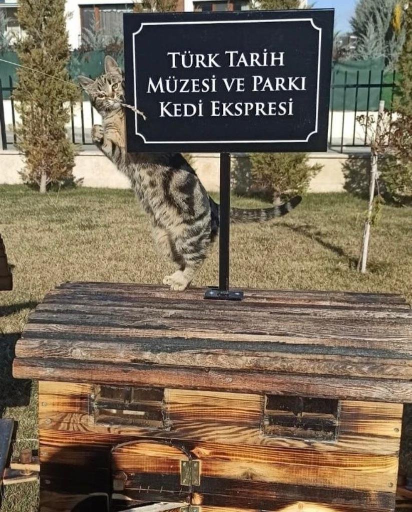 Etimesgut Belediyesi hayvan, barınağı, klinik, kedievi, kuşevi, yem ve mama