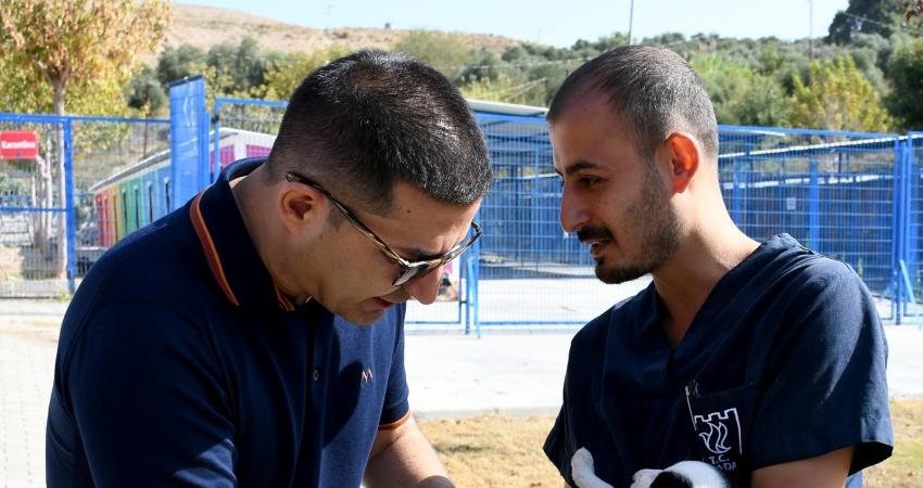 Kuşadası Belediyesi tarafından baştan aşağıya yenilenerek sokak hayvanları için tedavi