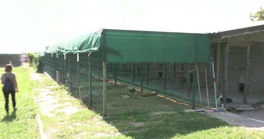 Antalya’da engelli bireyler ve ailelerine yönelik sosyal destek ve eğitim