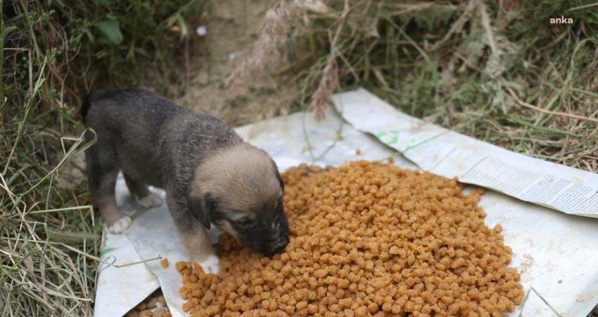 Merkezefendi Belediyesi’nin önemli projeleri arasında yer alan ve Türkiye’ye örnek